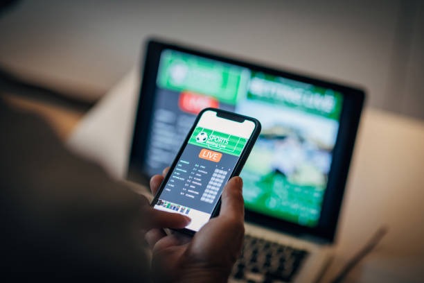 카지노 보증 사이트 Standards and Verification Methods