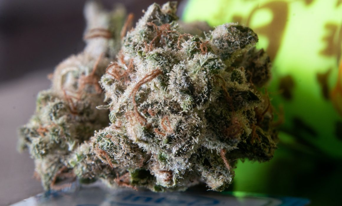 Enjoy a Smooth Buying Experience With Wiet Bestellen for Premium Cannabis