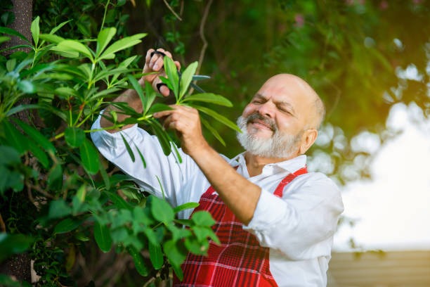 Designing Your Garden with Creative Touches